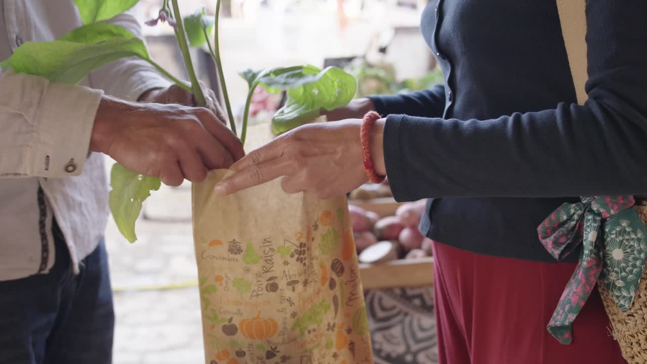 Organic Plant Sold at Farmers’ Market