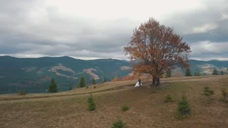 Lovely-young-newlyweds-bride-and-groom-embracing,-making-a-kiss-on-mountain-slope,-wedding-couple