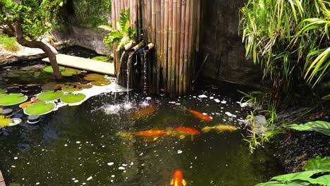 serene japanese garden pond with koi fish