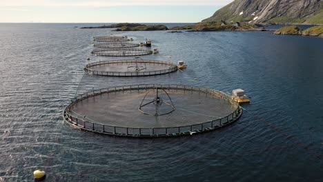 aerial footage farm salmon fishing in norway