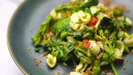 Plate of vegan broccoli pasta