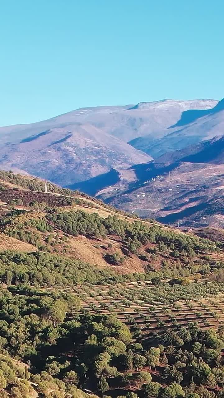 Vedute di uliveti e montagne a Granada, in Spagna, durante il giorno