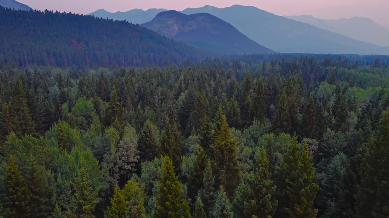 Mountains and forest on smoky evening with road