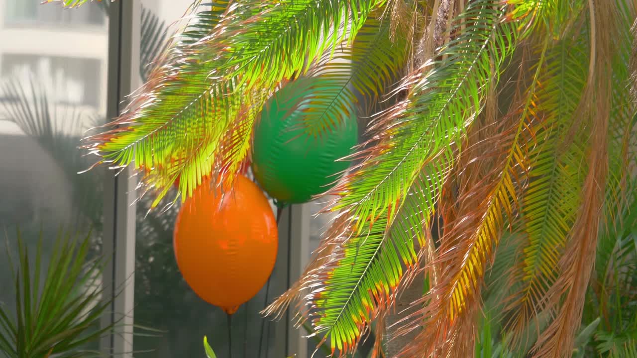 열대 정원에서 다채로운 풍선 4k 느린 동작 60fps