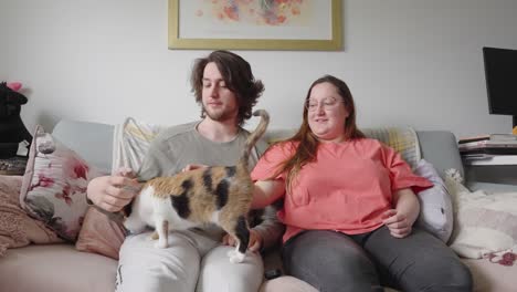 young couple comfortable at home spending time together with family cat