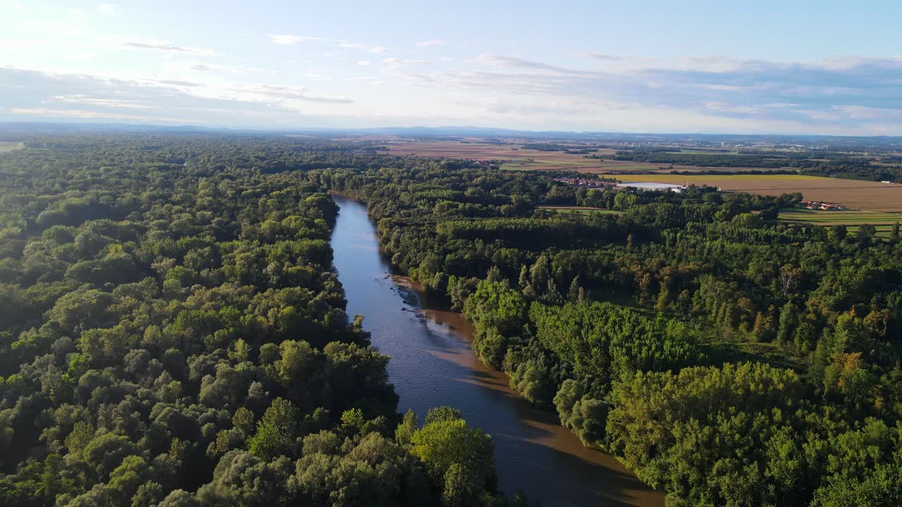 Vista aerea da drone che sorvola il fiume Mura, circondato da fitta foresta e paesaggio di pianura alluvionale, all'ora d'oro in Slovenia