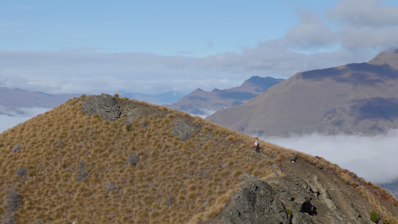뉴질랜드 산맥 의 거칠고 풀  ⁇ 인 산맥 을 따라 산책 하는 산책자