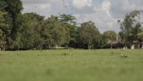 Primer-Plano-De-ángulo-Bajo-En-El-Club-De-Golf,-Golpeando-Una-Pelota-De-Golf-A-Través-De-Un-Campo-De-Golf