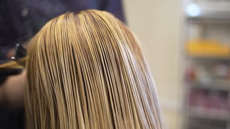 hair stylist using straightner on a clients hair performing smothing treatment