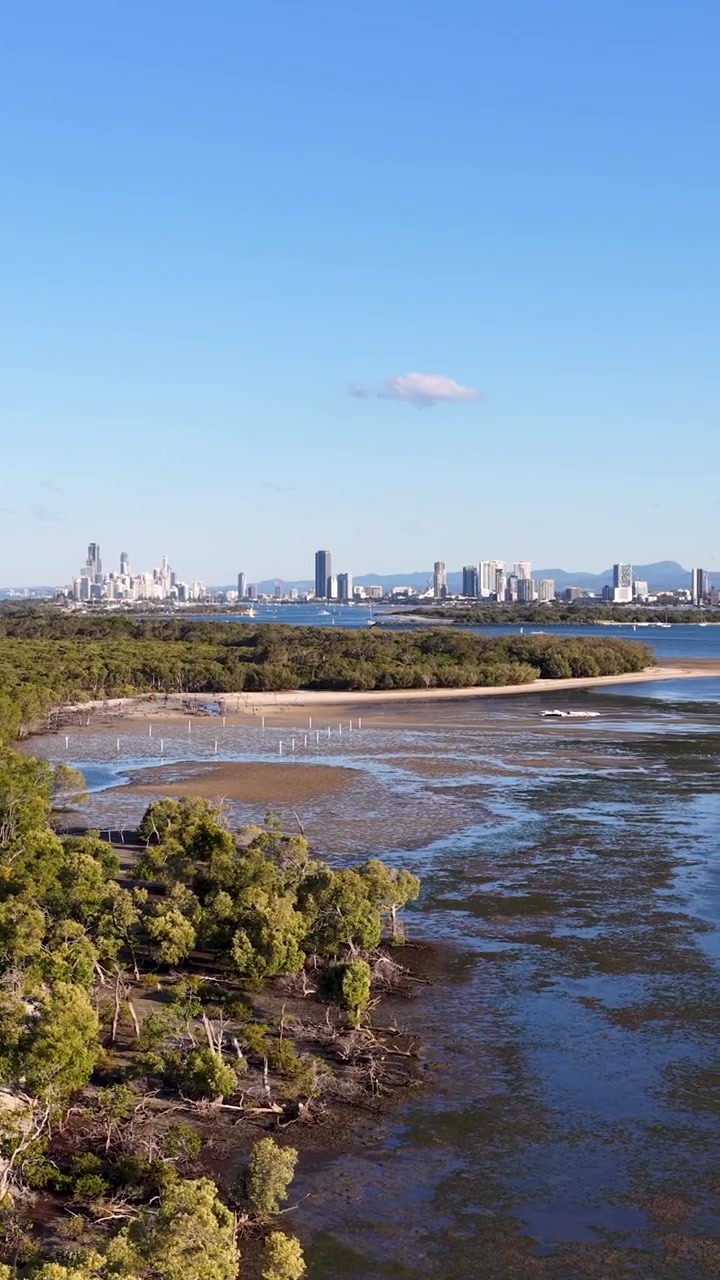 Panoramica con drone dalle lussureggianti mangrovie dell'isola allo skyline della città di Gold Coast in lontananza, Australia
