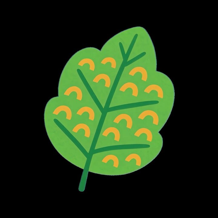 Animated Green Leaf with Patterned Texture