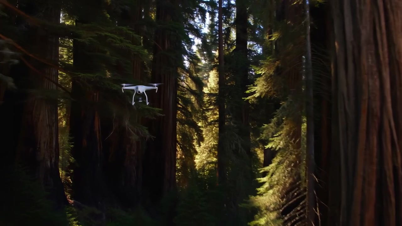 Drone quadricottero bianco che plana stabilmente all'interno di una fitta foresta di sequoie secolari, sfocatura del rotore che mostra il movimento contro tronchi massicci, chioma a strati, luce solare a chiazze, ombre profonde e ricca verticalità.