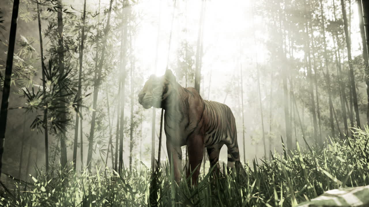Majestic Tiger in a Misty Bamboo Forest