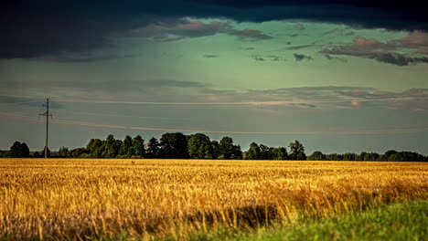 Un-Paisaje-De-Campo-Agrícola-Dorado-Con-Una-Línea-De-Bosque-Y-Un-Viento-Tranquilo