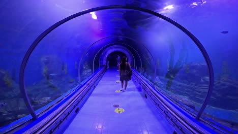 young woman in an underwater tube at an aquarium