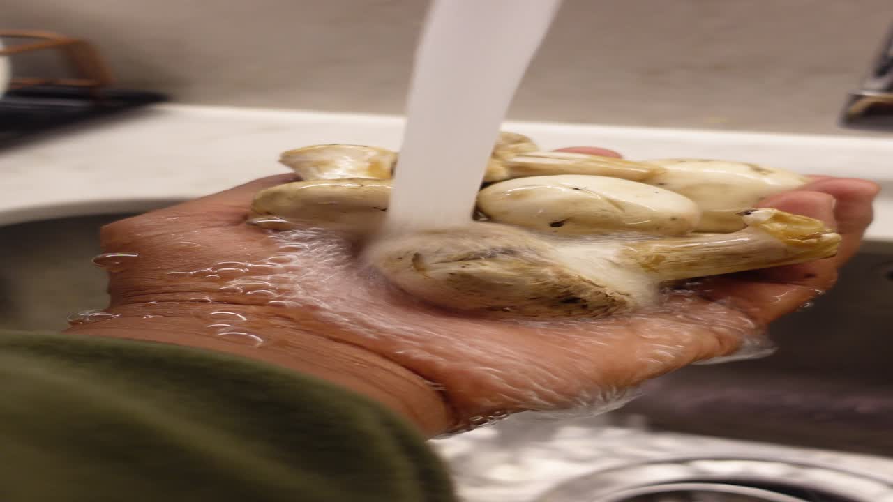 setas para el lavado