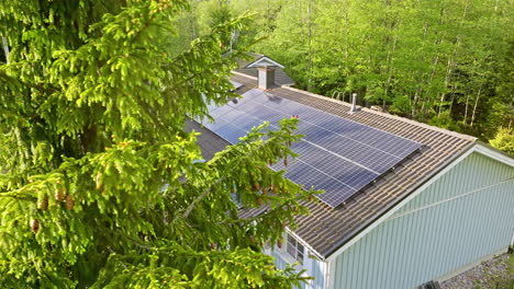 Vista-Aérea-Alrededor-De-Un-árbol,-Revelando-Módulos-Fotovoltaicos-En-El-Techo-De-Una-Casa,-Día-Soleado