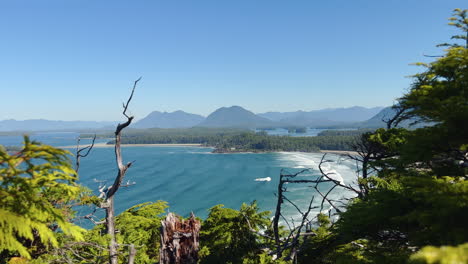 Elevated-view-over-Cox-Beach-on-Vancouver-Island,-waves-at-the-shore,-sunny-day,-foliage-in-the-foreground,-handheld-side-move