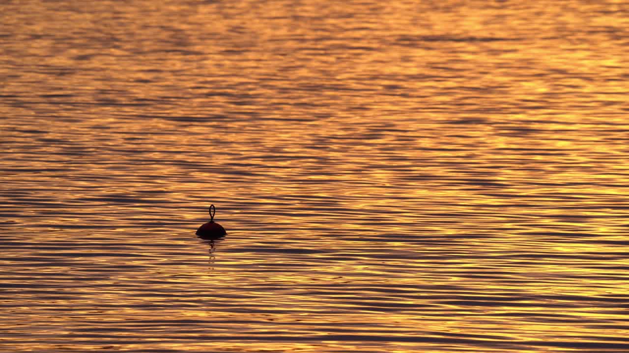 Meerboei drijft zachtjes in zee tijdens een prachtige gouden zonsondergang - Kalme oranjekleurige zee met fonkelende zonsondergangweerspiegelingen