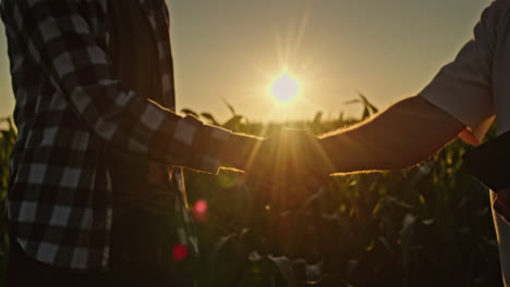 farmers shaking hands in a cornfield at sunset