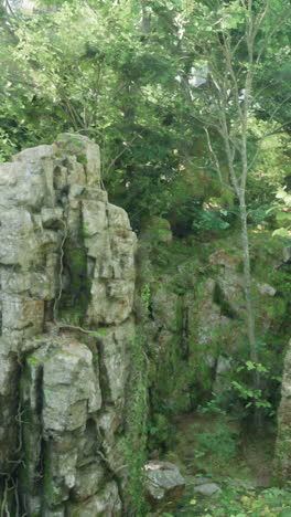 a massive rock formation surrounded by lush vegetation in a tropical jungle