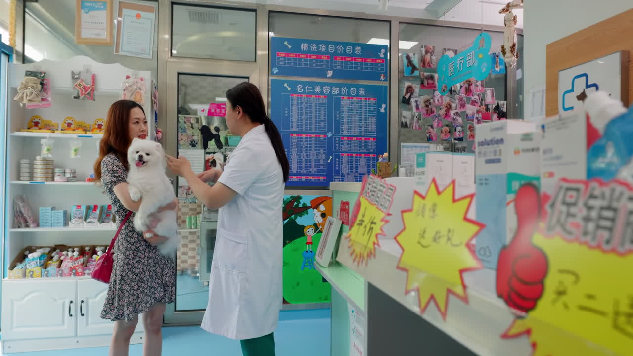 Young pet doctor talking about healthcare, dog and vet with woman owner for consultation, visit or pet insurance. Animal, wellness mature veterinarian with client for advice, conversation or medical