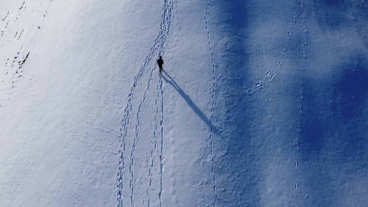 vista de pájaro sobre un hombre caminando en un campo de nieve