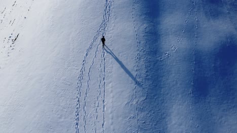 一位人在雪地上行走的鸟瞰景色