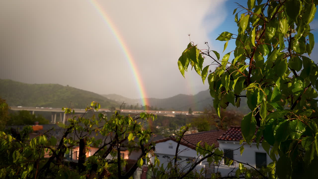arco iris después de la lluvia sobre colinas verdes y autopista con árbol en primer plano