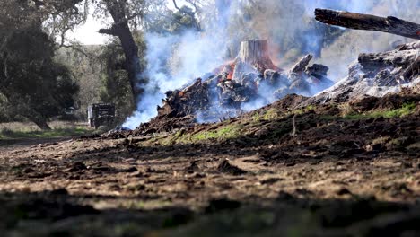 Kontrollieren-Sie-Brandhaufen-In-Waldgebieten-Mit-Traktoren-Und-Arbeitern