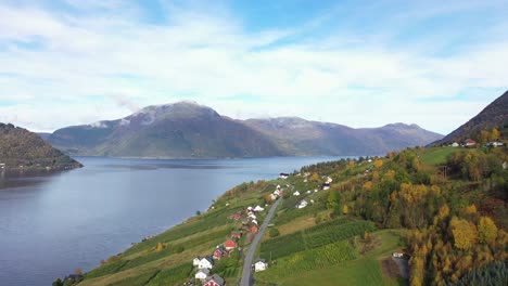 Hardanger-road-rv13-to-Kinsarvik-passing-in-between-apple-farms-with-Sorfjorden-on-left-side-and-mountain-oksen-in-background---Autumn-aerial-with-beautiful-colors-and-blue-sky---Norway-aerial