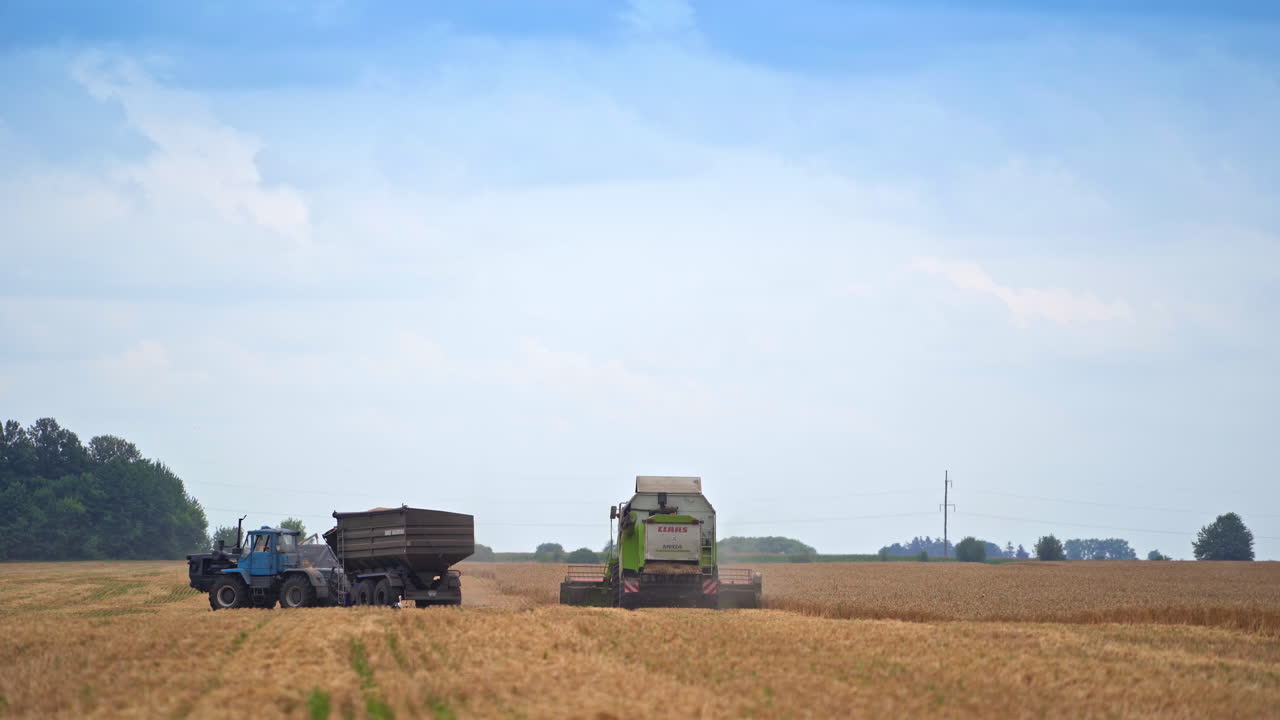 Large machines collect wheat. Large harvester harvests grain in the sun day