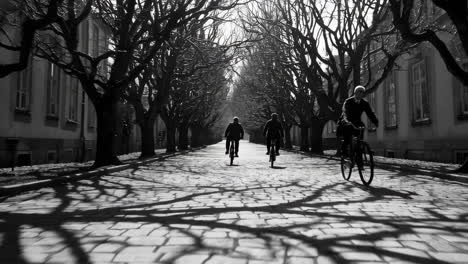 Bicycle Ride on a Cobblestone Street in Black and White