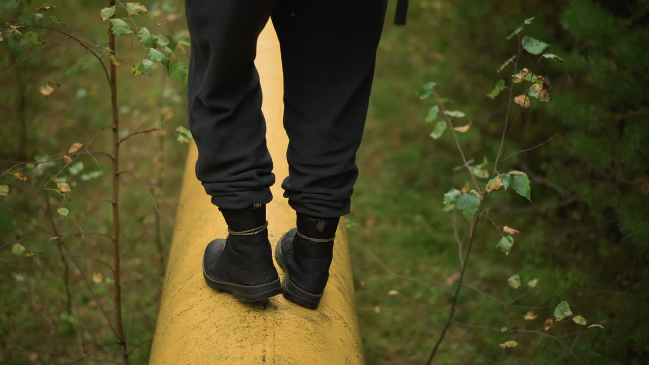 Hiker on pipeline, Adventurer navigating dense forest terrain carefully along pipeline, Walking steadily across mosscovered pipeline amidst thick forest with gentle morning illumination