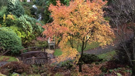 Dame-Geht-Auf-Weg-Vorbei-An-Herbstfarben