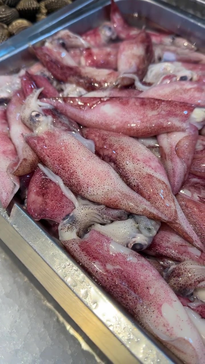 Calamari freschi crudi esposti sul ghiaccio in un mercato del pesce.