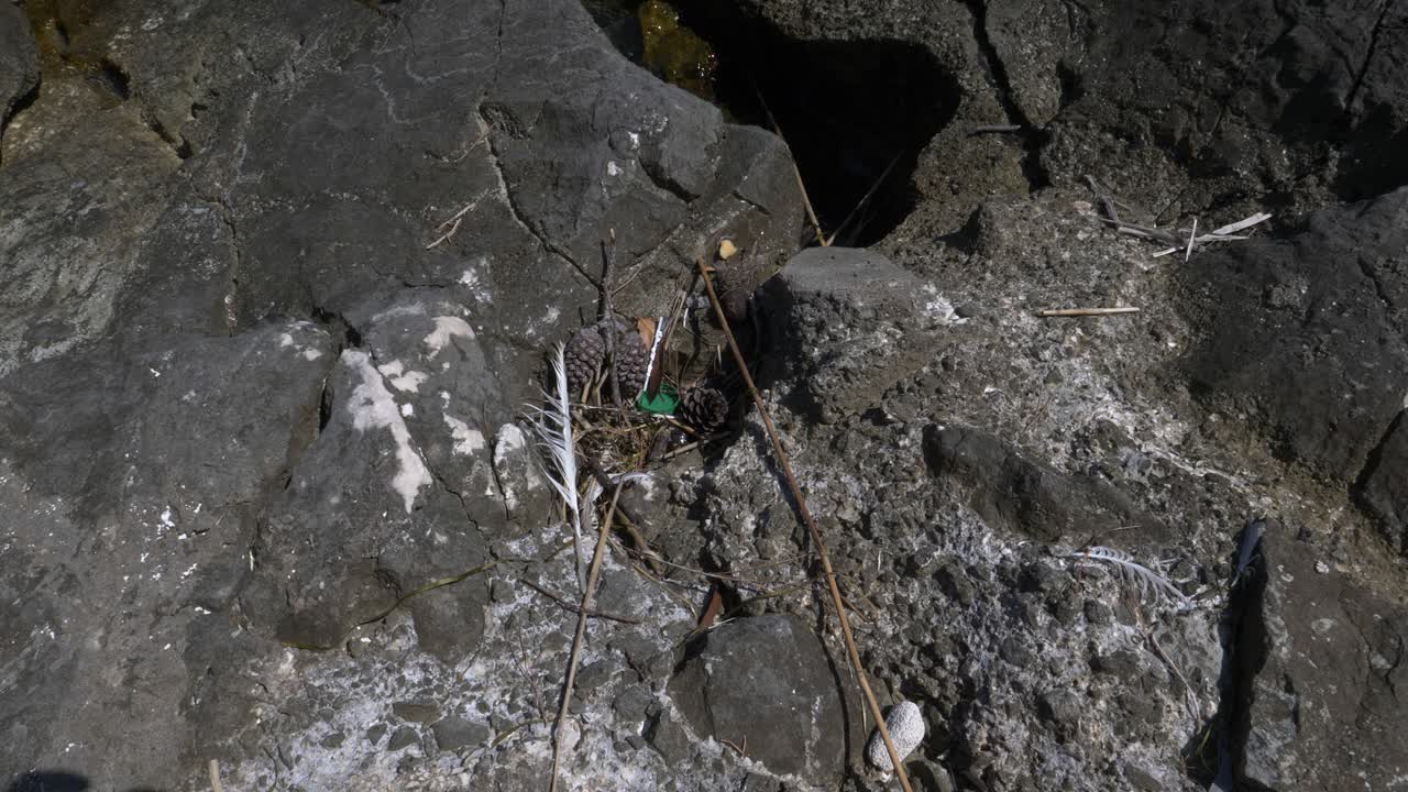 maderas secas encima de la tapa de una botella de plástico sobre una roca grisácea