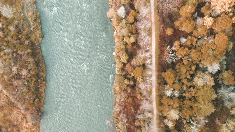 drone shot of a tree gardens over a beautiful river