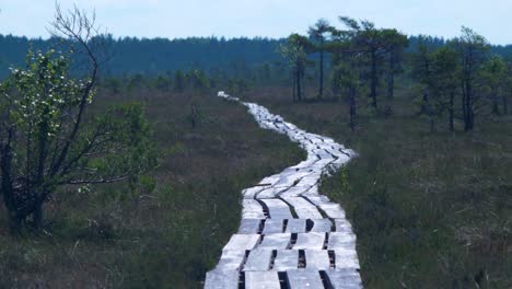 Beautiful-empty-bog-footbridge-path-in-Dunika-in-hot-summer-day-with-scenic-clouds,-wide-shot-with-heat-waves