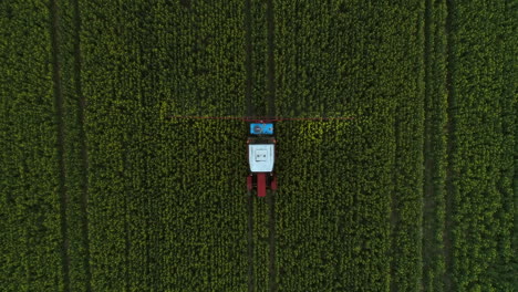 tractor spraying crops field with insect repellent, above tracking shot