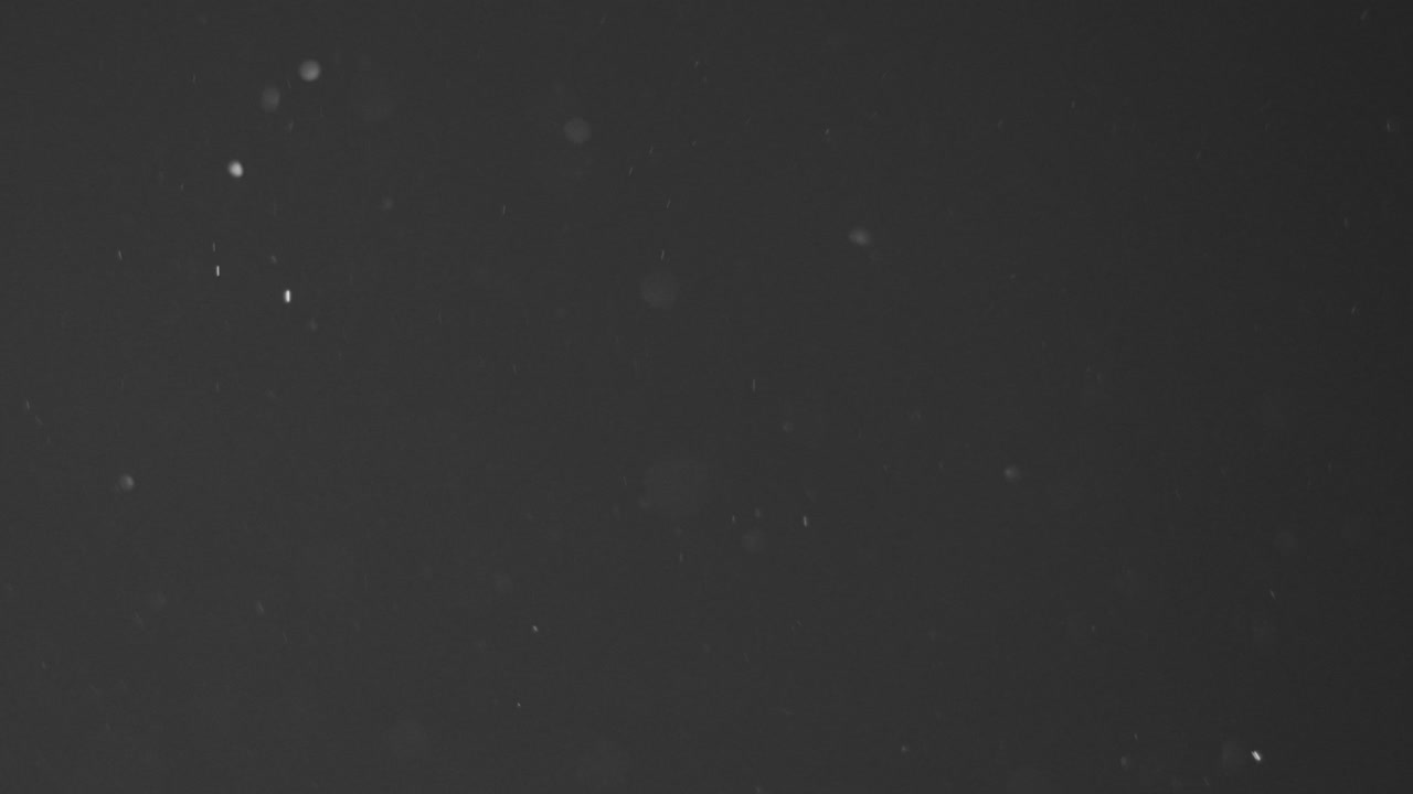 Real Dust Particles Slowly Rising Upwards Floating in Calm Indoor Environment with Natural Sun Light on Dark Black Background. Use Add Screen Mode for Compositing Asset VFX ProRes 4K.