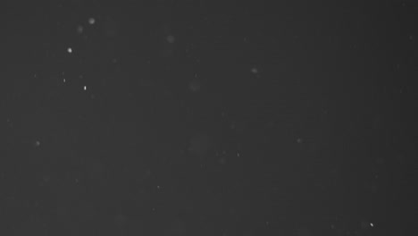 real dust particles slowly rising upwards floating in calm indoor environment with natural sun light on dark black background. use add screen mode for compositing asset vfx prores 4k.