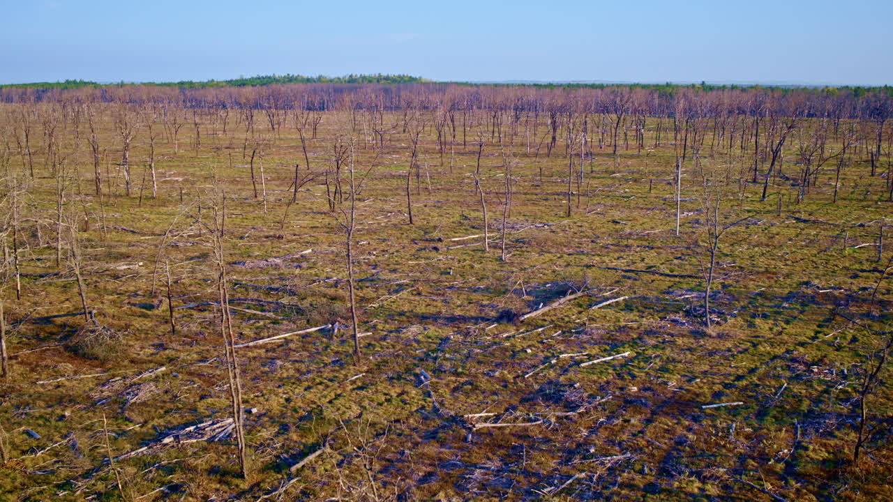 드론 촬영은 산불 피해로 어진 광활한 지역입니다.