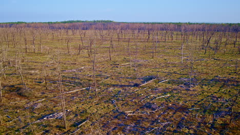 imágenes de drones de una vasta área marcada por daños por incendios forestales.