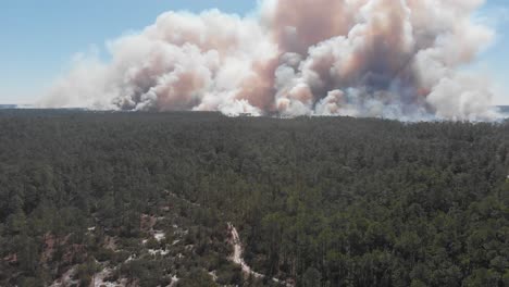 Bosque-Fuego-Humo-Nubes-Ardiente-Sendero-Carretera-Ocala-Bosque-Nacional-Florida-Aéreo-Dron-Inclinación-Revelar