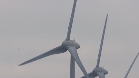 spinning blades of a couple of wind turbines slowly rotating generating electricity at sunset with birds passing by in the background