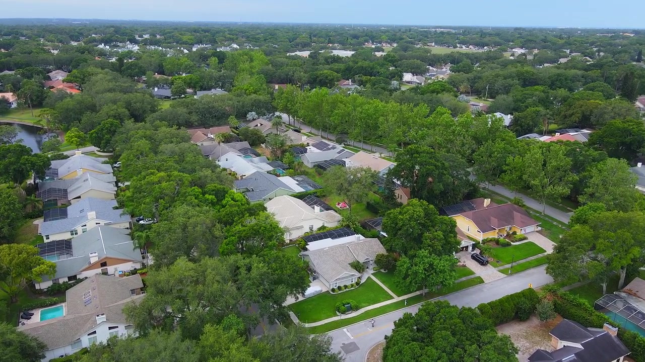 Palm Harbor, Florida, USA Aerial view of residential homes surrounded by lush vegetation