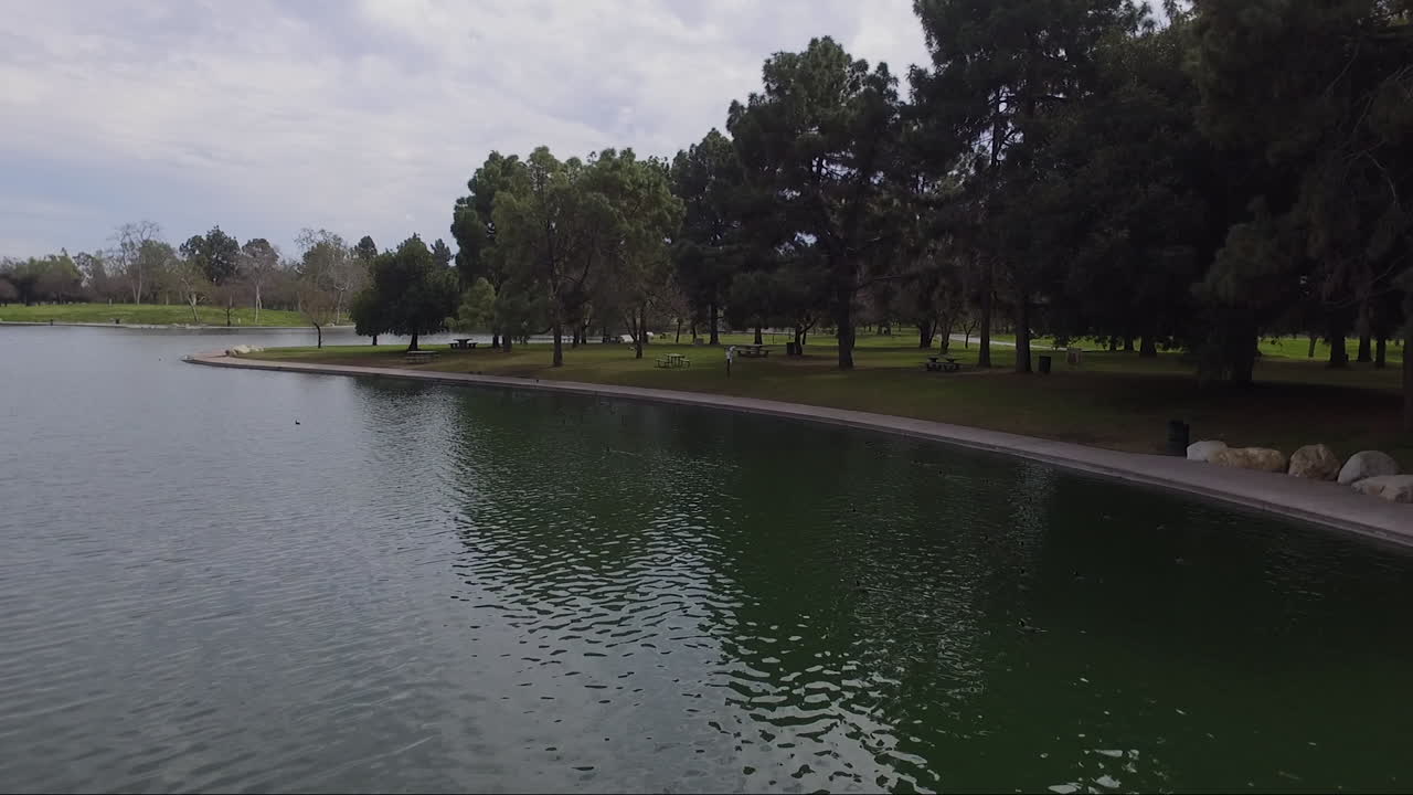 vuelo sobre el estanque en el parque