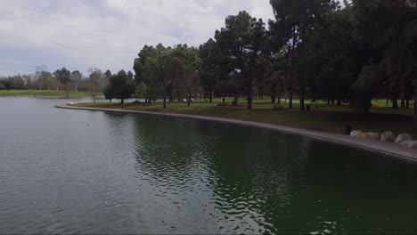 Flight-over-pond-in-park