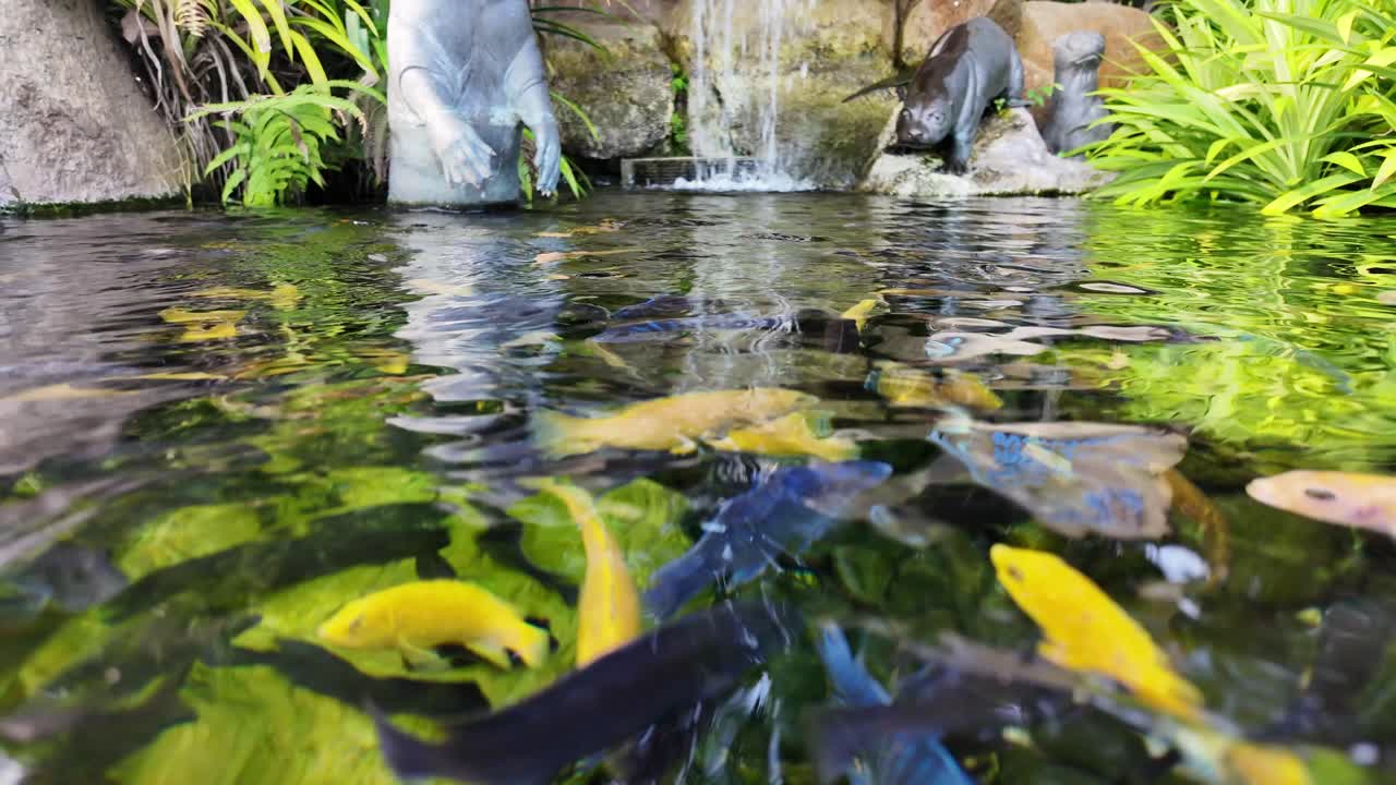 Fish Pond with Statues and Waterfall
